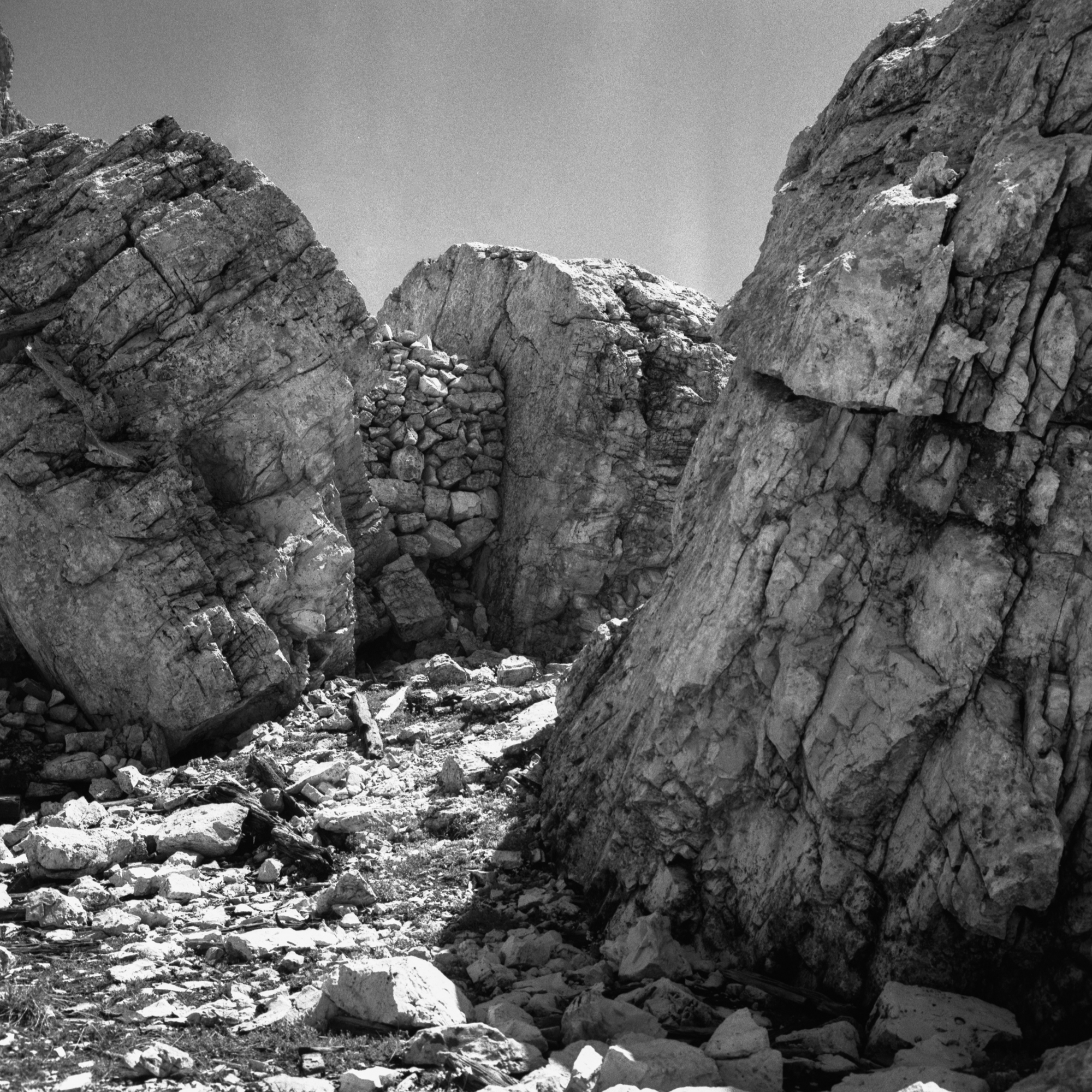 08R4_DOLOLAGA_TMAX40002ok